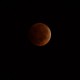 Luna de Sangre 8/octubre/14