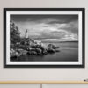 Lighthouse-Park-West-Vancouver-Blanco-y-Negro-Jonathan-Mondragon